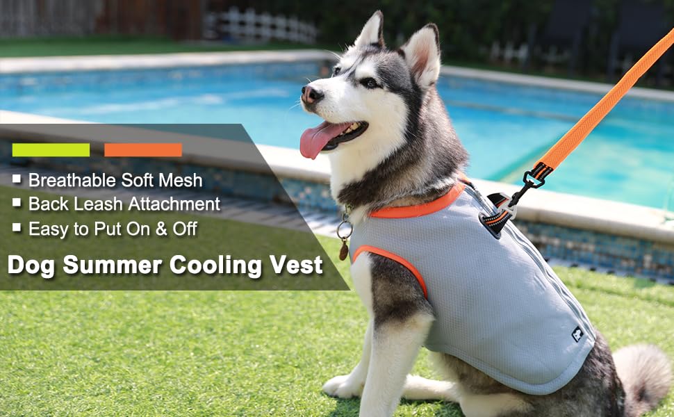 MOKCCI Truelove cooling vest for dogs. Dog cooling vest harness cooler jacket with adjustable zipper for outdoor hunting, training, and camping.