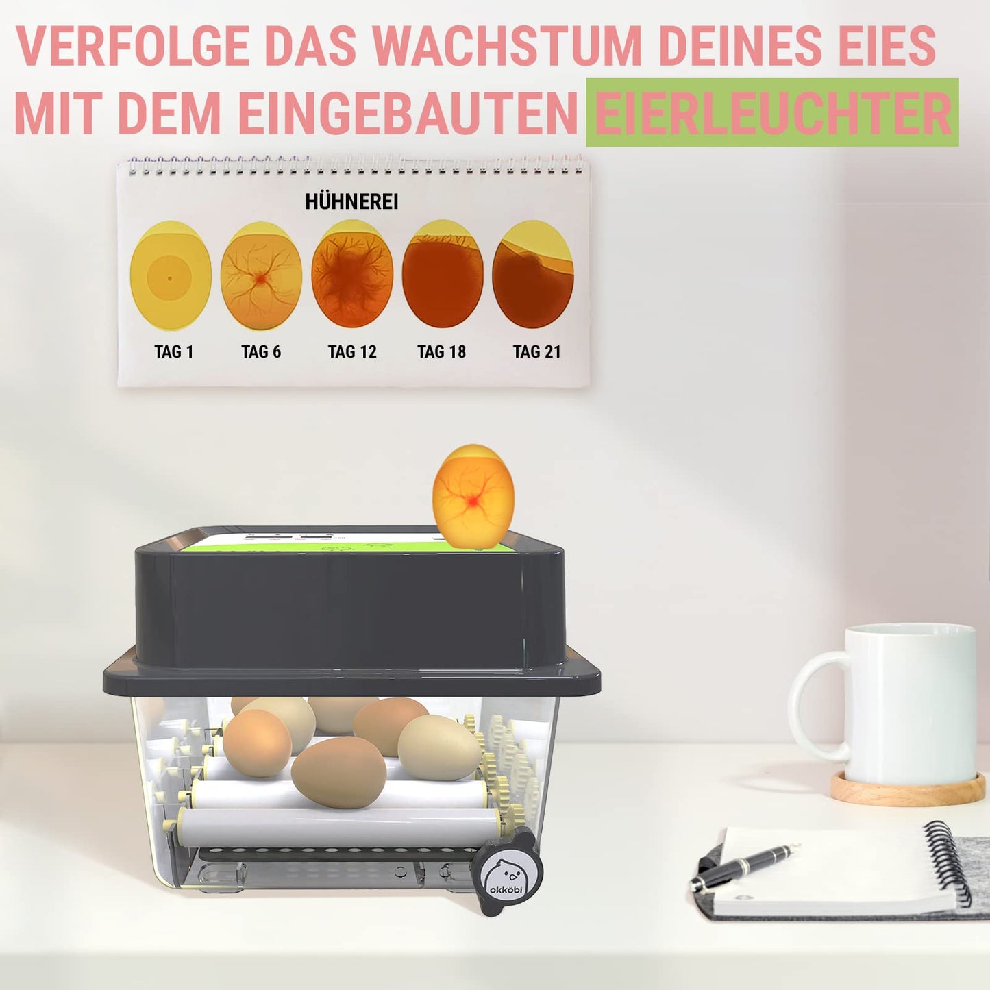 Incubator Fully Automatic 12 Eggs - Ideal for all age groups | Hatching Machine Chicken Egg Turning and Moisture Control - Integrated Eggshell + 5 Year Protection - Okköbi OBI-12