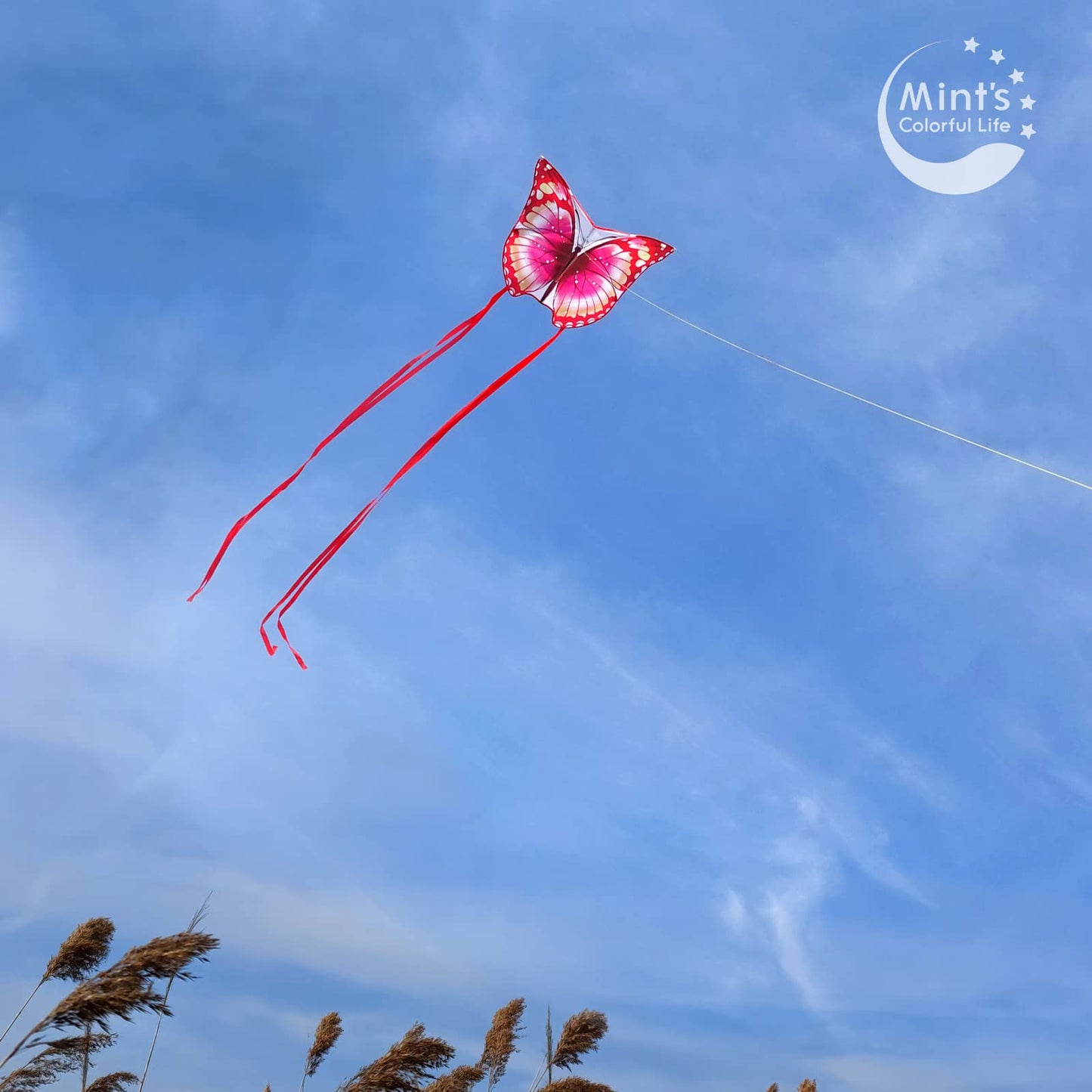 Mint's Colorful Life Butterfly Kite Dragon Kite for Kids and Adults (Pink)
