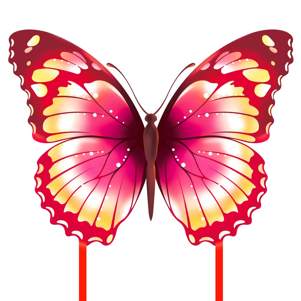 Mint's Colorful Life Butterfly Kite Dragon Kite for Kids and Adults (Pink)