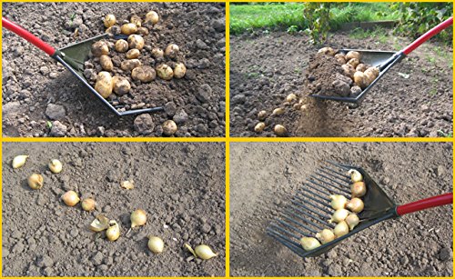 Golden Gark, (3-in-1 rake, shovel, leaf blower, multifunctional & ergonomic gardening tool