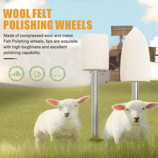 80PCS Wool Felt Polishing Wheels, Wool Felt Mounted Mandrel Polishing Set with 1/8" Shank Polishing Accessories for Dremel Rotary Tool Jewelry Metal Glass