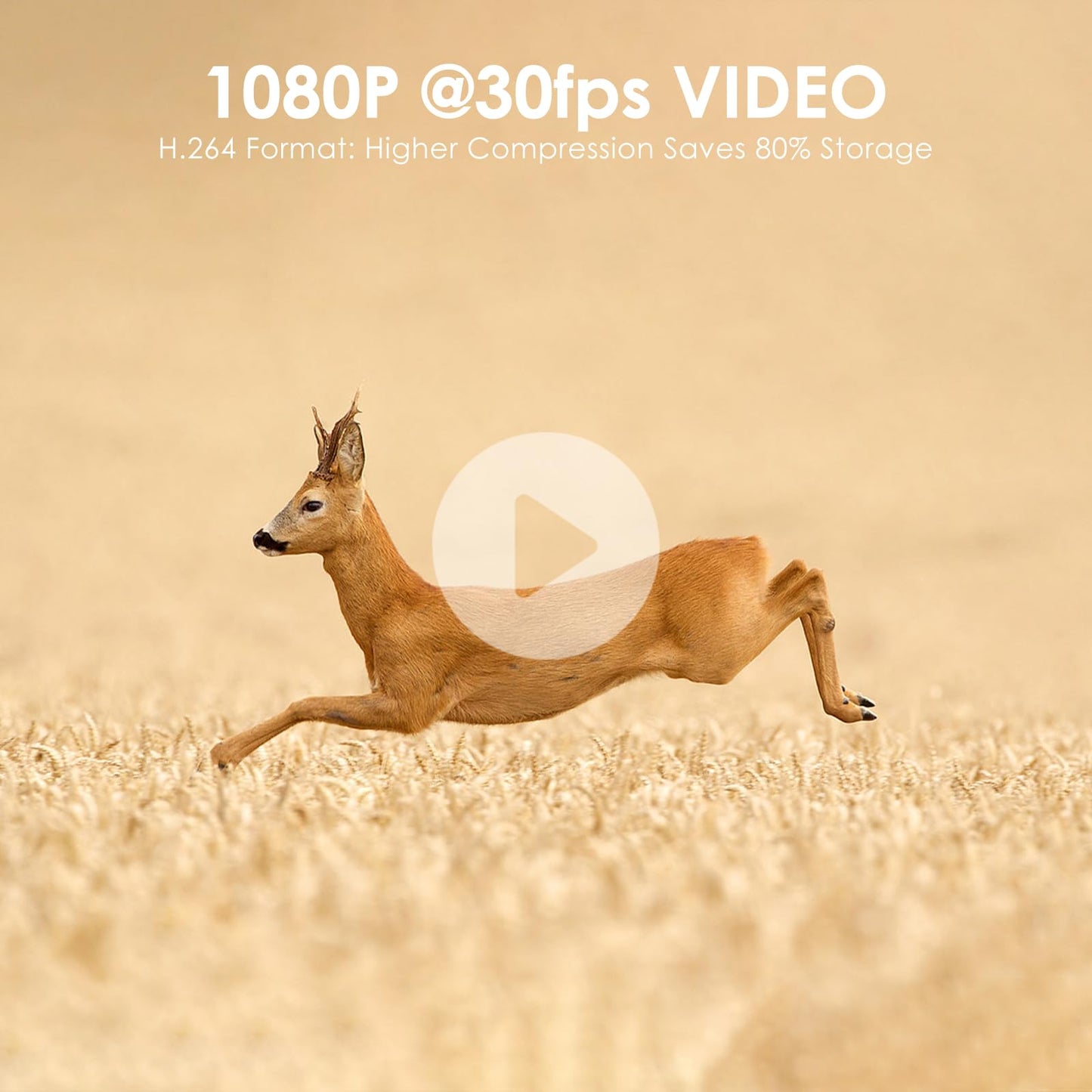 MAXDONE wildlife camera with motion sensor night vision Bluetooth - WiFi with mobile transfer app Rechargeable 2000mAh battery, low glow 48MP screenless night vision device 0.1s hunting camera