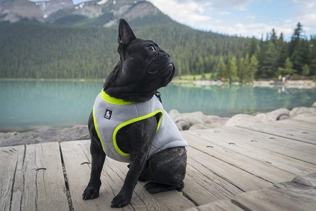 MOKCCI Truelove cooling vest for dogs. Dog cooling vest harness cooler jacket with adjustable zipper for outdoor hunting, training, and camping.