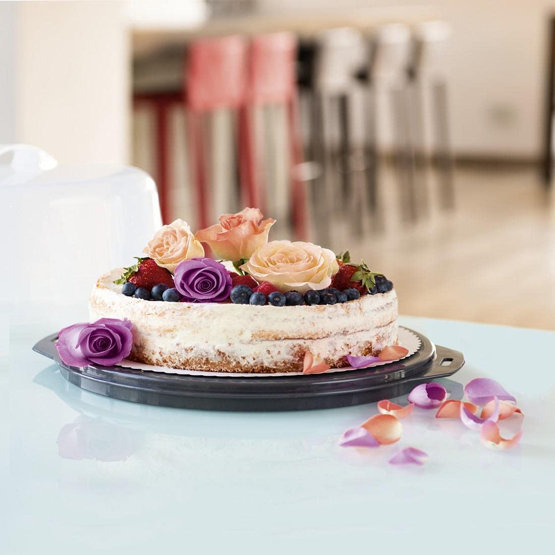 Xavax Cake Transport Box round with lid Cake container 31.5 cm diameter, inner height 8 cm, Cake box with slice division aid, cake plate anthracite, Transparent