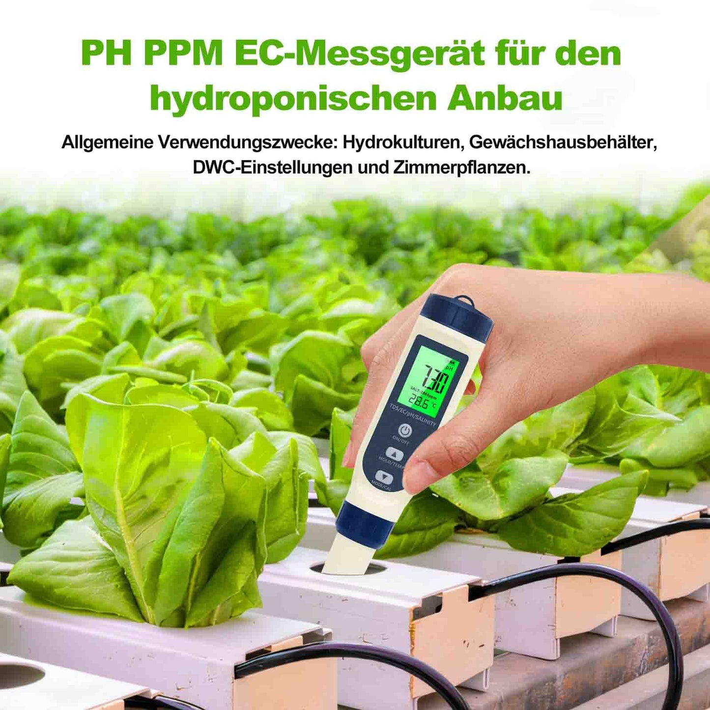 pH meter water, 5 in 1 pH/TDS/EC/Salinity/Thermometer tester with LCD display. Automatic temperature compensation, high precision for testing drinking water, pools.
