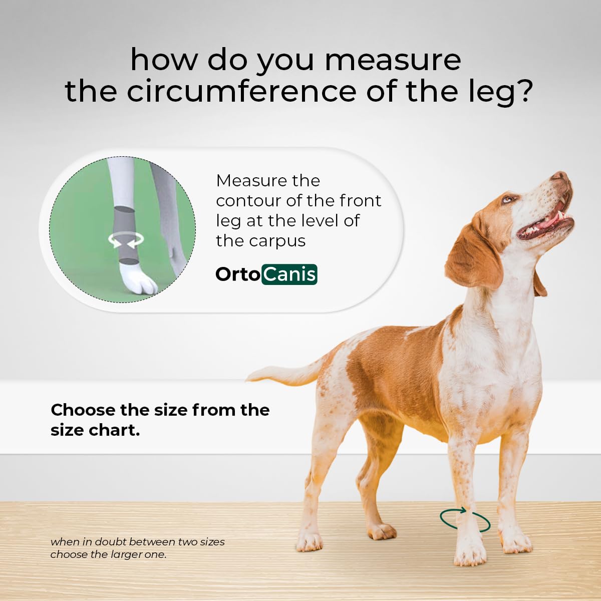 Ortocanis - Carpal Joint Brace for Dogs - Arthritis, ligament and tendon injuries or agility dogs - Made of Neoprene - Size M 14-16 cm