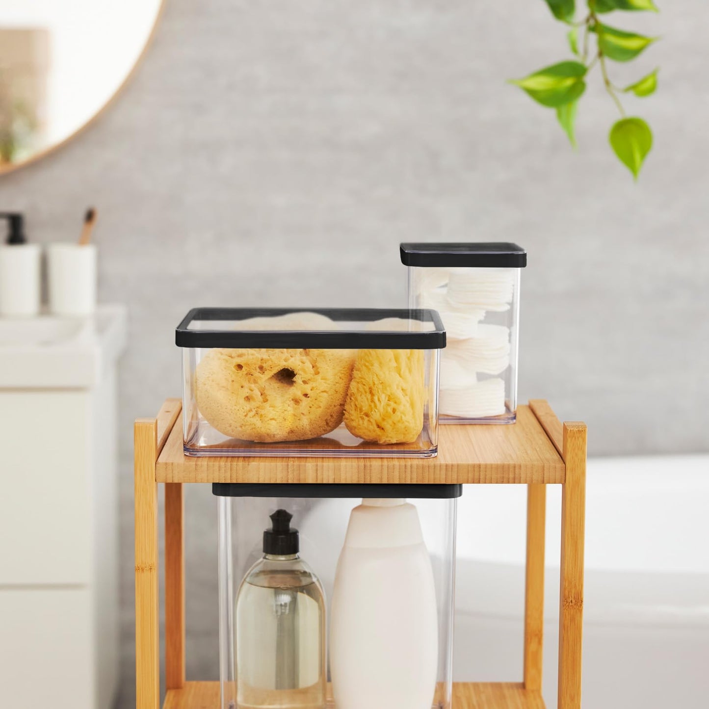 Rotho Loft Set Storage Containers 5 pcs. LOFT, plastic (PP) BPA-free, transparent, (32.3 x 22.3 x 16.6 cm)
