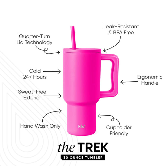 Simple Modern Thermo Cup with Straw and Handle | Insulated Stainless Steel Drinking Cup Iced Coffee Travel Mug | Gifts for Women and Men | Trek | 890ml | Raspberry Vibes