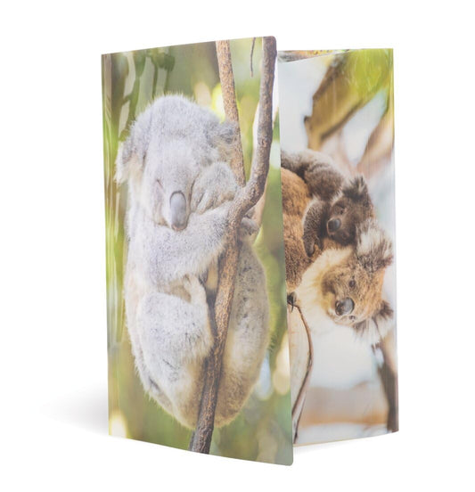 HERMA Folder A3 Koala, children's plastic corner clamp folder with animal motif, high gloss finish, elastic band, inner flaps and inner print for boys and girls.