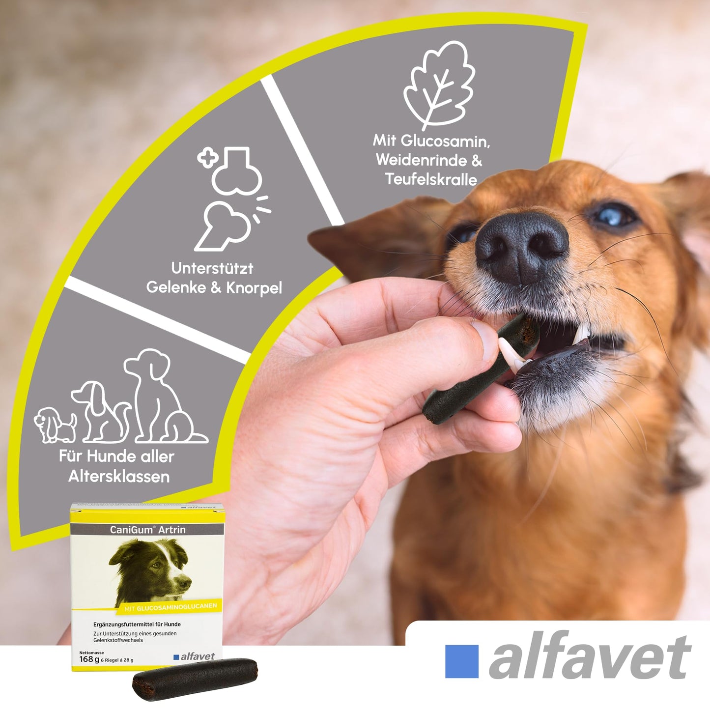 alfavet CaniGum Artrin, double pack, supplementary food for dogs supports joints, joint metabolism, for osteoarthritis, chew sticks 2 x 168g, portionable.