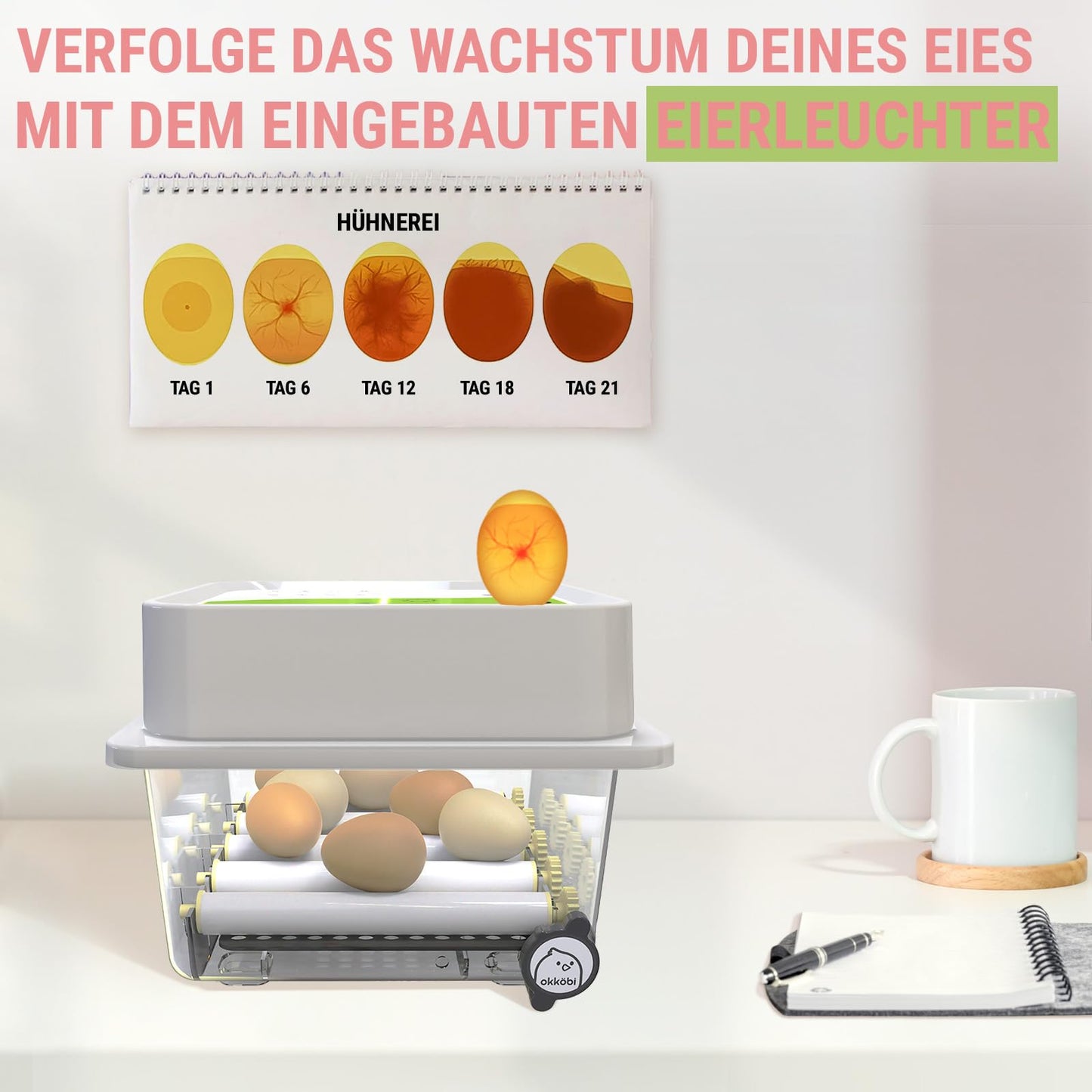 Incubator Fully Automatic 12 Eggs - Ideal for all age groups | Hatching Chickens Egg Turning and Moisture Control - Integrated Eggshell + 5 Year Protection - Okköbi OBI-12