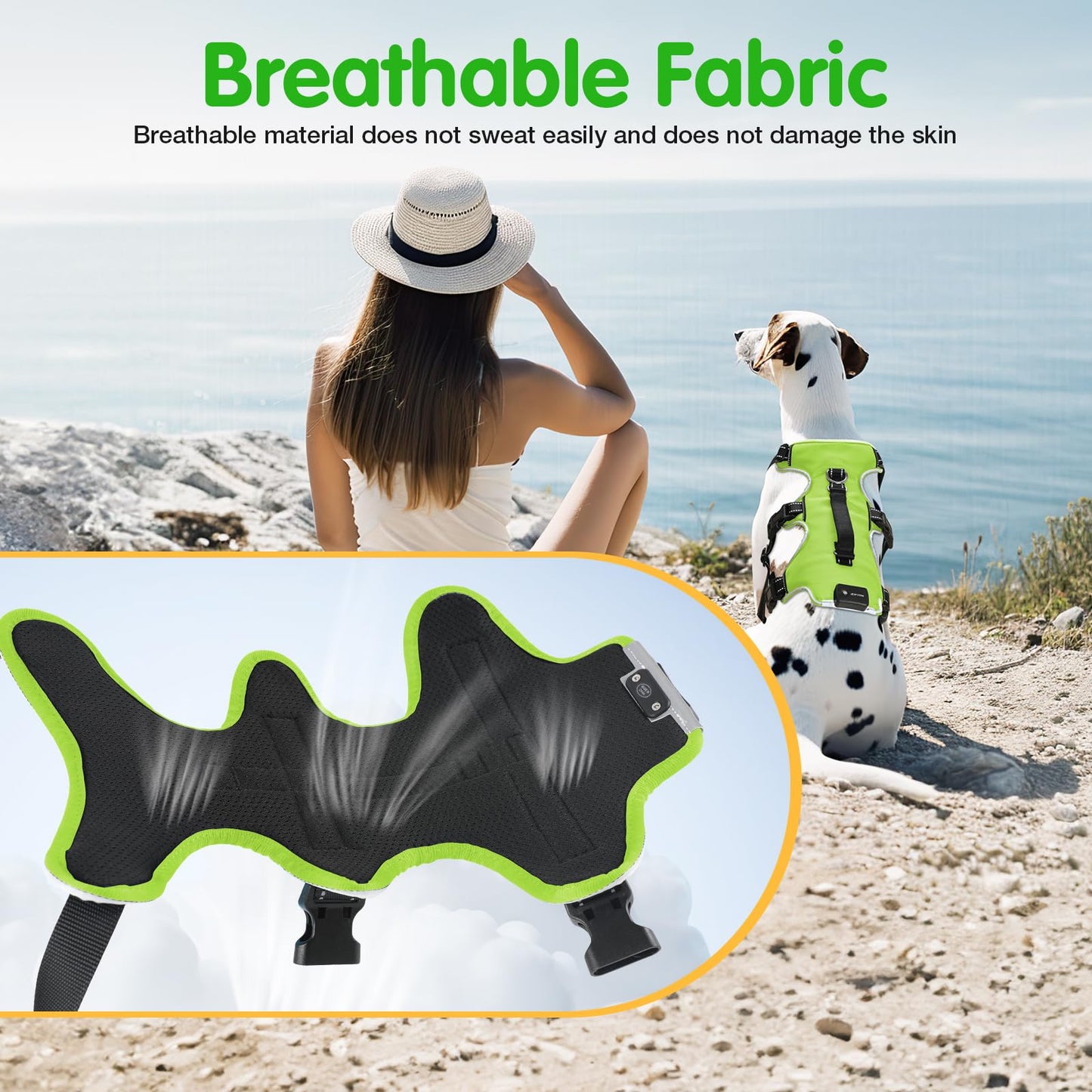 Jewyow Dog Harness Glowing, Rechargeable LED Dog Harness, LED Harness for Dogs with Soft Handle, 3 Adjustable Modes, Waterproof for Medium, Large Dogs, Green-XL