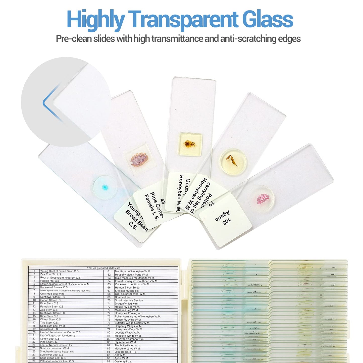 120 microscope slides with biological samples, insects, plants, and human cells for laboratory biology and science study.