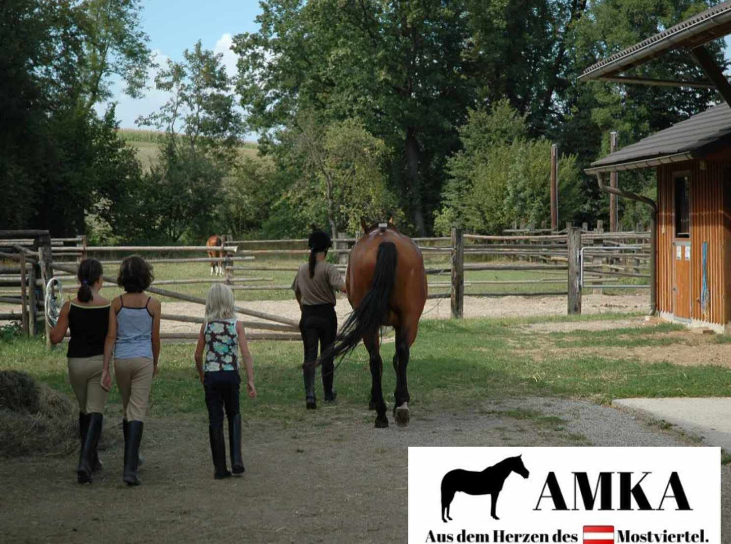 AMKA box grid box lock box door stable grid adjustable