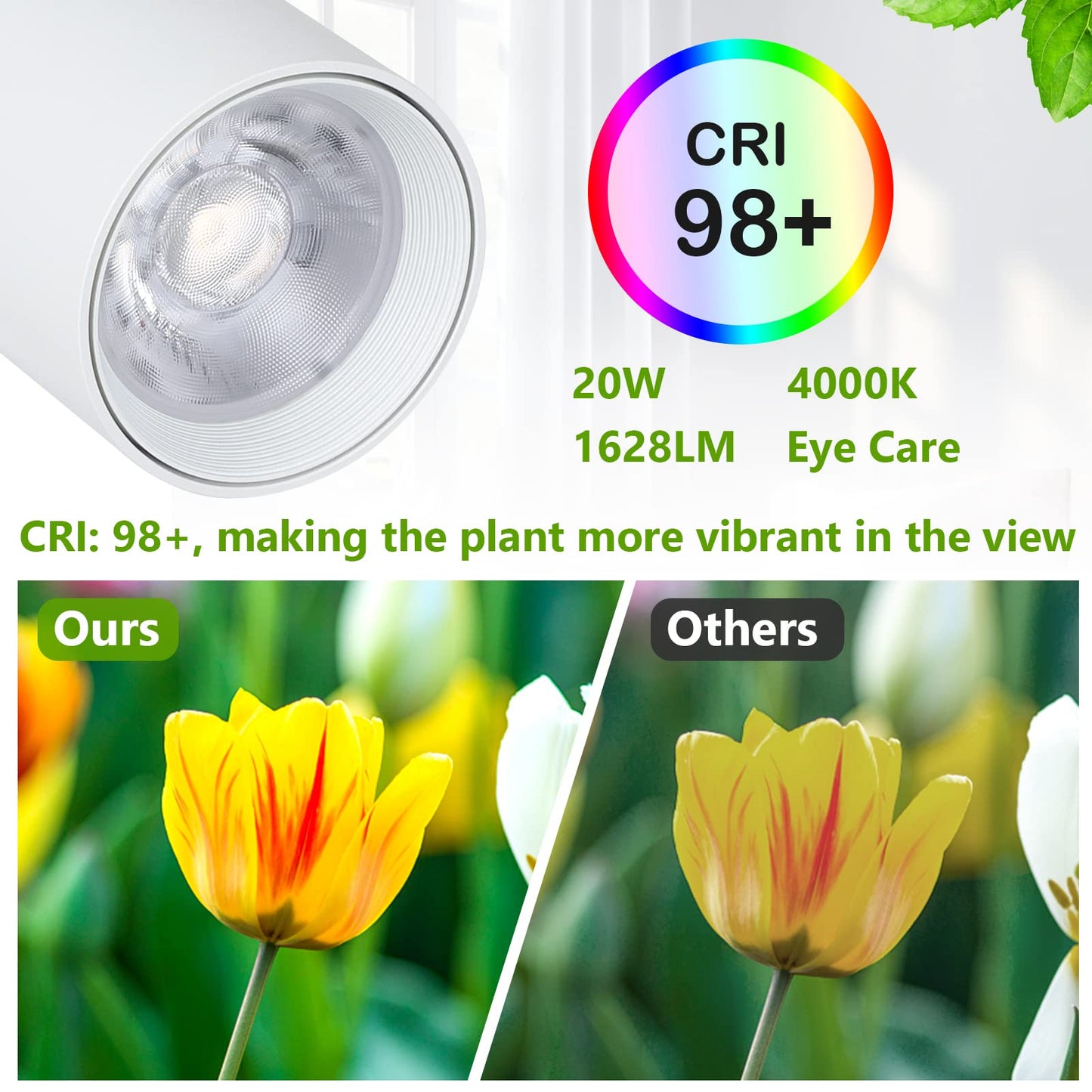 Rayofly LED Full Spectrum Plant Lamp, 20W White Grow Light for indoor plants, Adjustable height LED Grow Lamp with Timer 4/8/12H, Stand Grow Light for large plants or seeds.