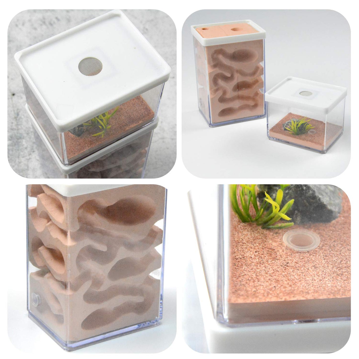aleawol Natural Ant Farm Ant Nest Formicarium made of plaster Transparent Ant House Ant Breeding Box Ant Terrarium House Ant Farm Ant Nest Habitat