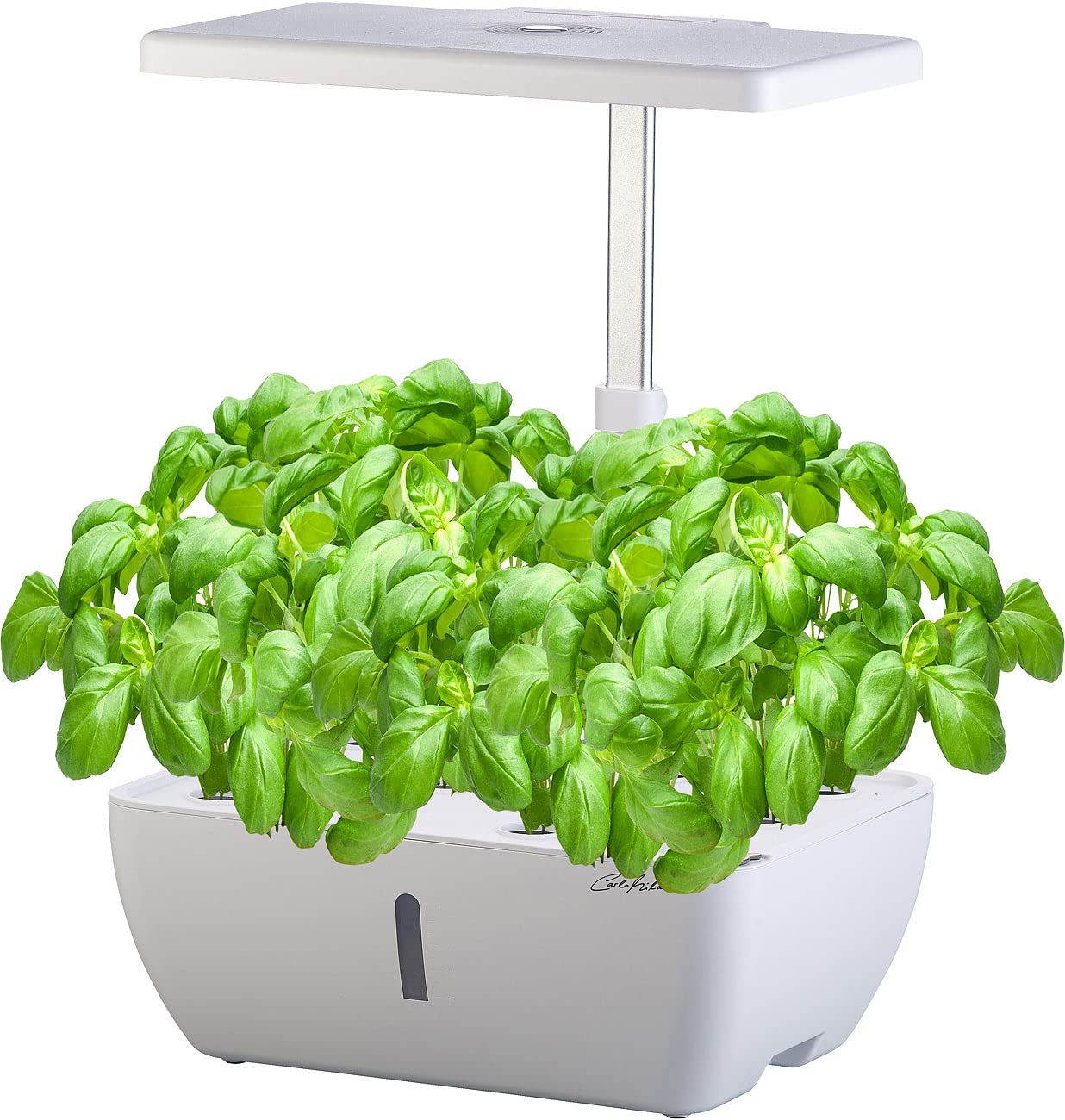 Carlo Milano Grow Lamp: Smart Wi-Fi propagation system for 12 plants, growth LEDs, app, 7l (Smart Garden, Propagation Box, Indoor Garden hydroponic)