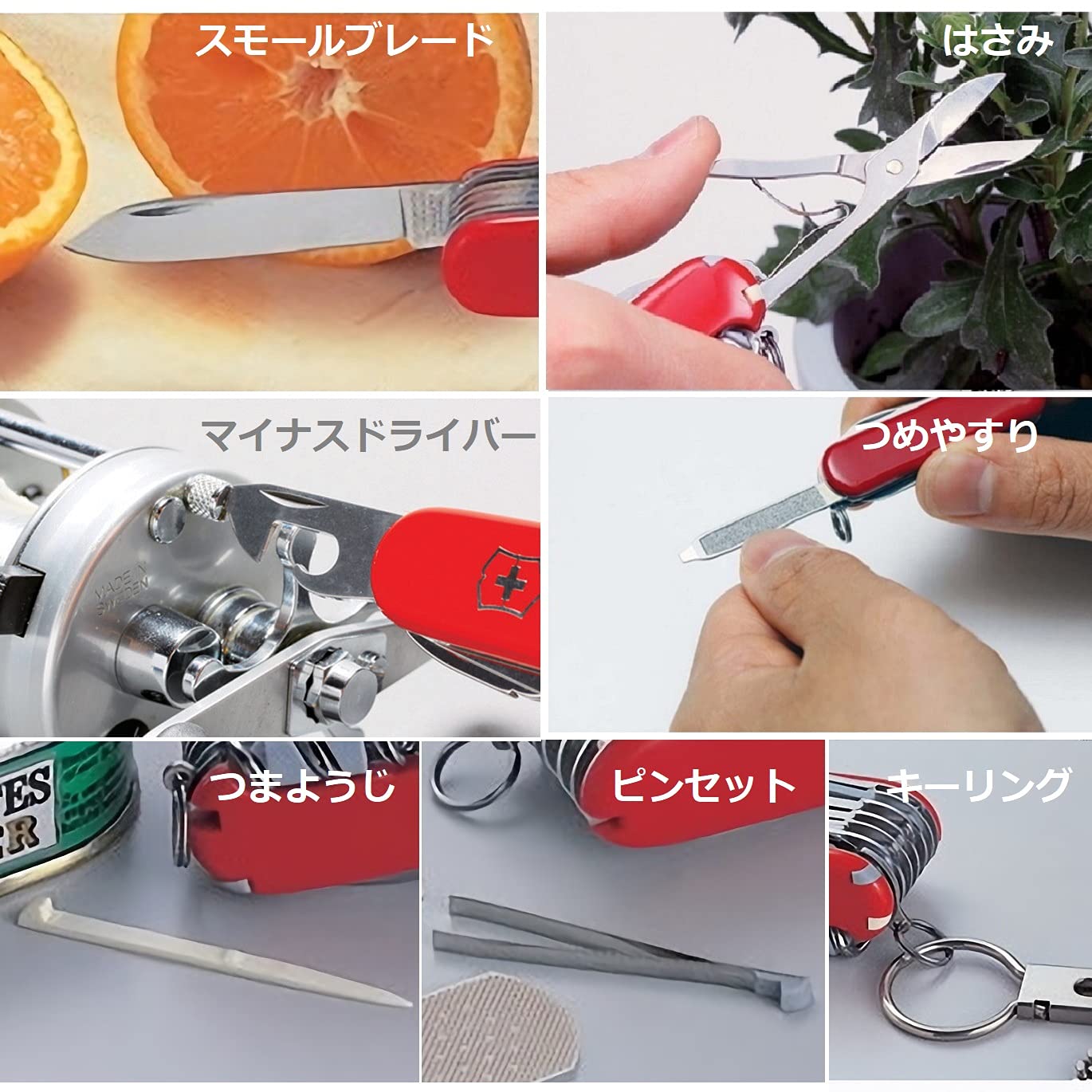 Victorinox Swiss Army Knife, Small, Classic SD, Multitool, Gift, 7 Functions, Blade, Nail File, Gray Transparent