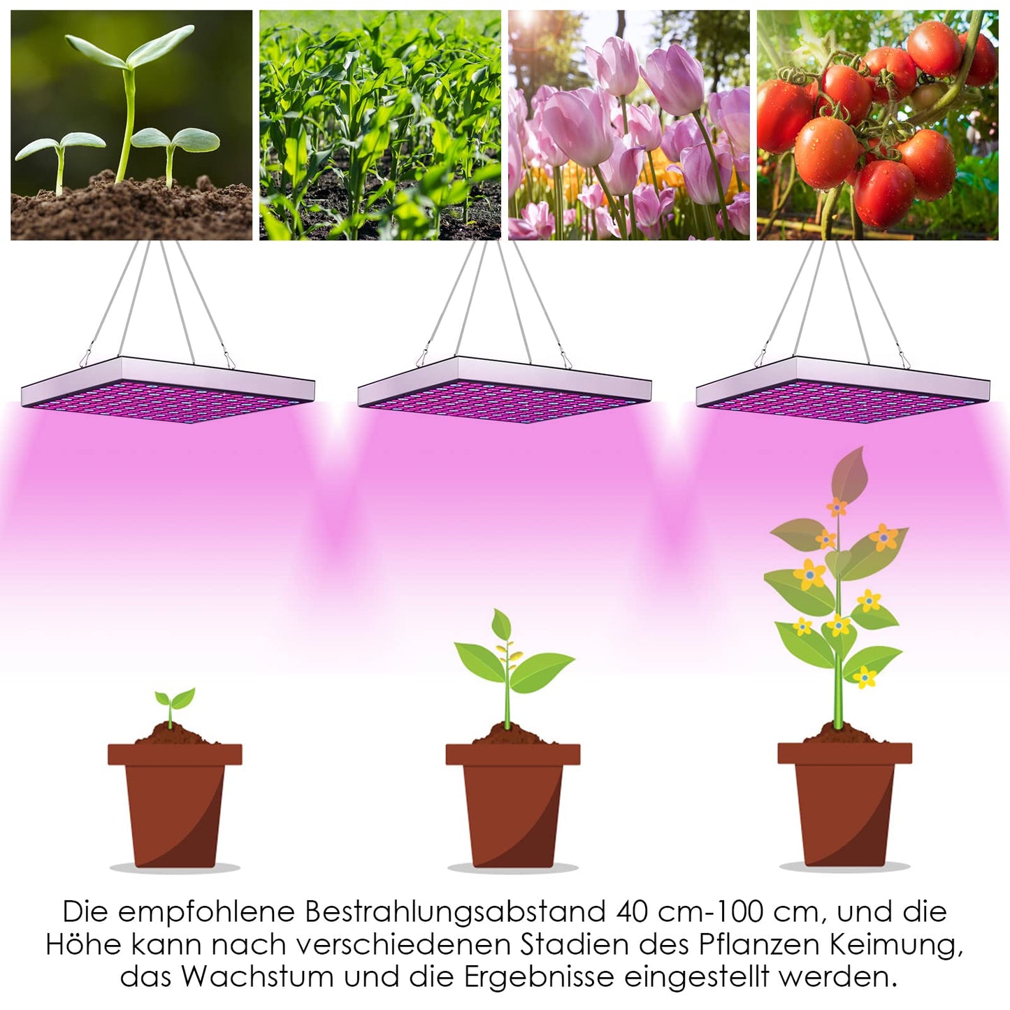 Lospitch LED Grow Light 15W, Full Spectrum Plant Lamp, 225 Red & Blue LEDs Plant Light for Hydroponic, Indoor Seeding Veg Flower, Grow Tent and Greenhouse.
