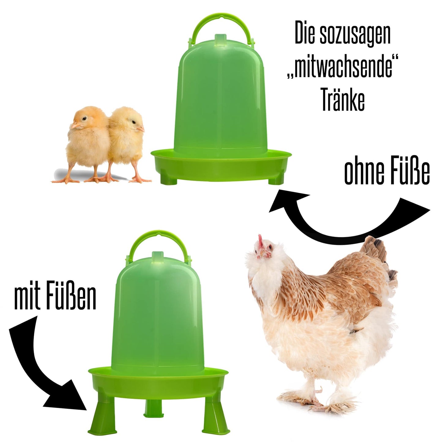 8 liter poultry drinker green with feet and 4 kg poultry feeder green with feet for chickens, chicken feed trough, chicken feed dispenser, chicken feed automatic, chicken feeder, chicken feed dispenser