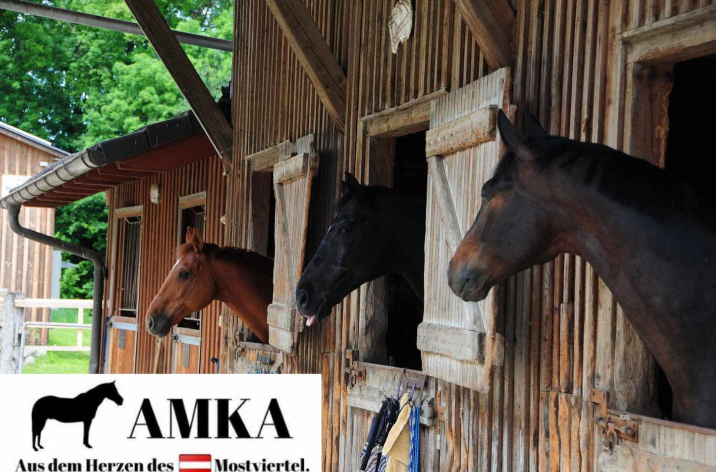 AMKA folding saddle rack for 2 saddles flexible with 2 bridle hooks