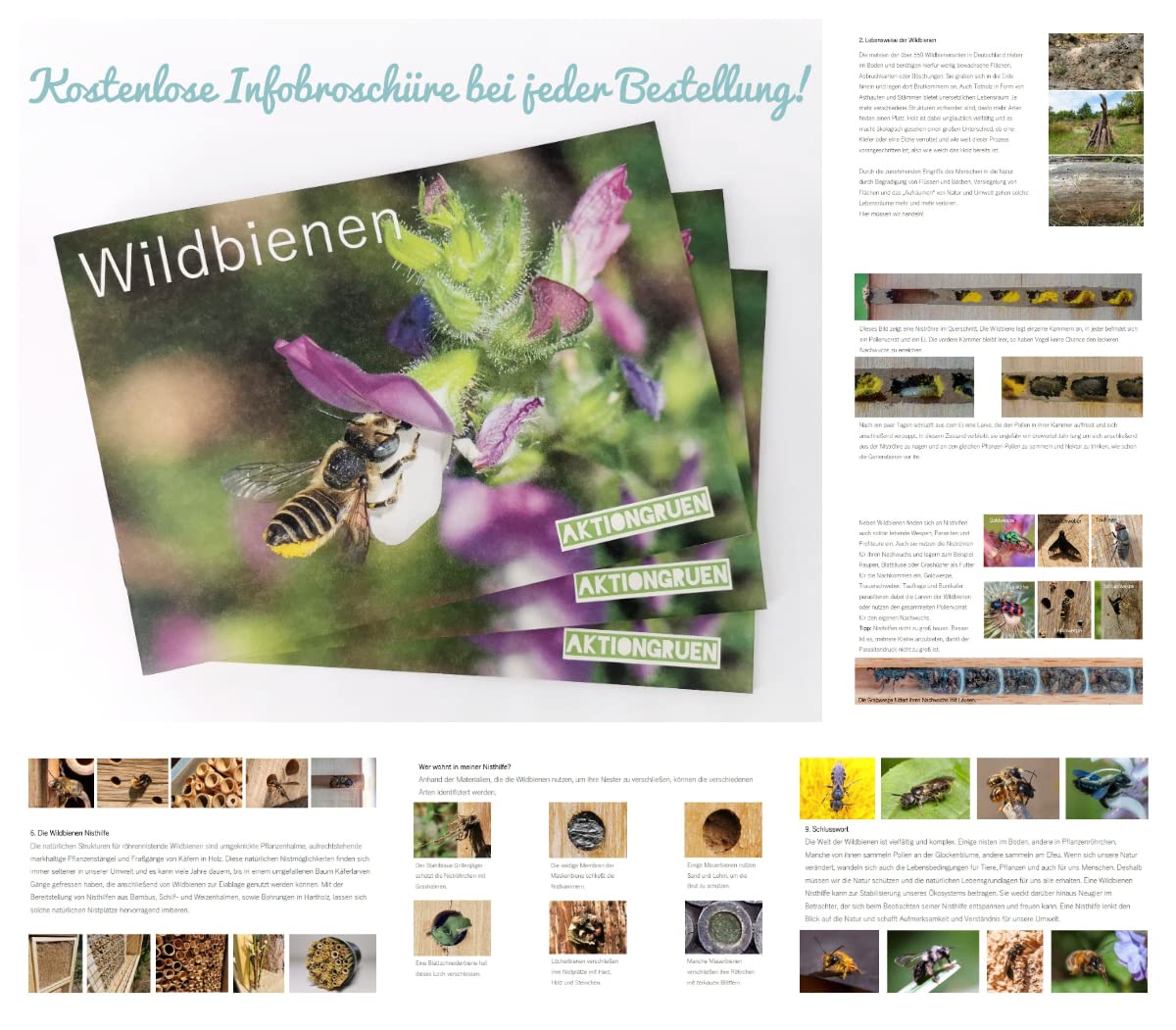 action green MEGAPACK Bamboo tubes Insect hotel Craft supplies approx. 300 nesting tubes 10cm + 300g clay powder & more! for wild bees & solitary wasps