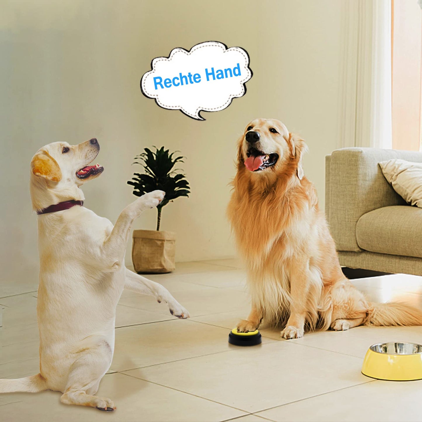Chunhee Training bell for dog, cat training buzzer, dog buttons to speak/eat something/go out interactive toy pet tool 6 colors