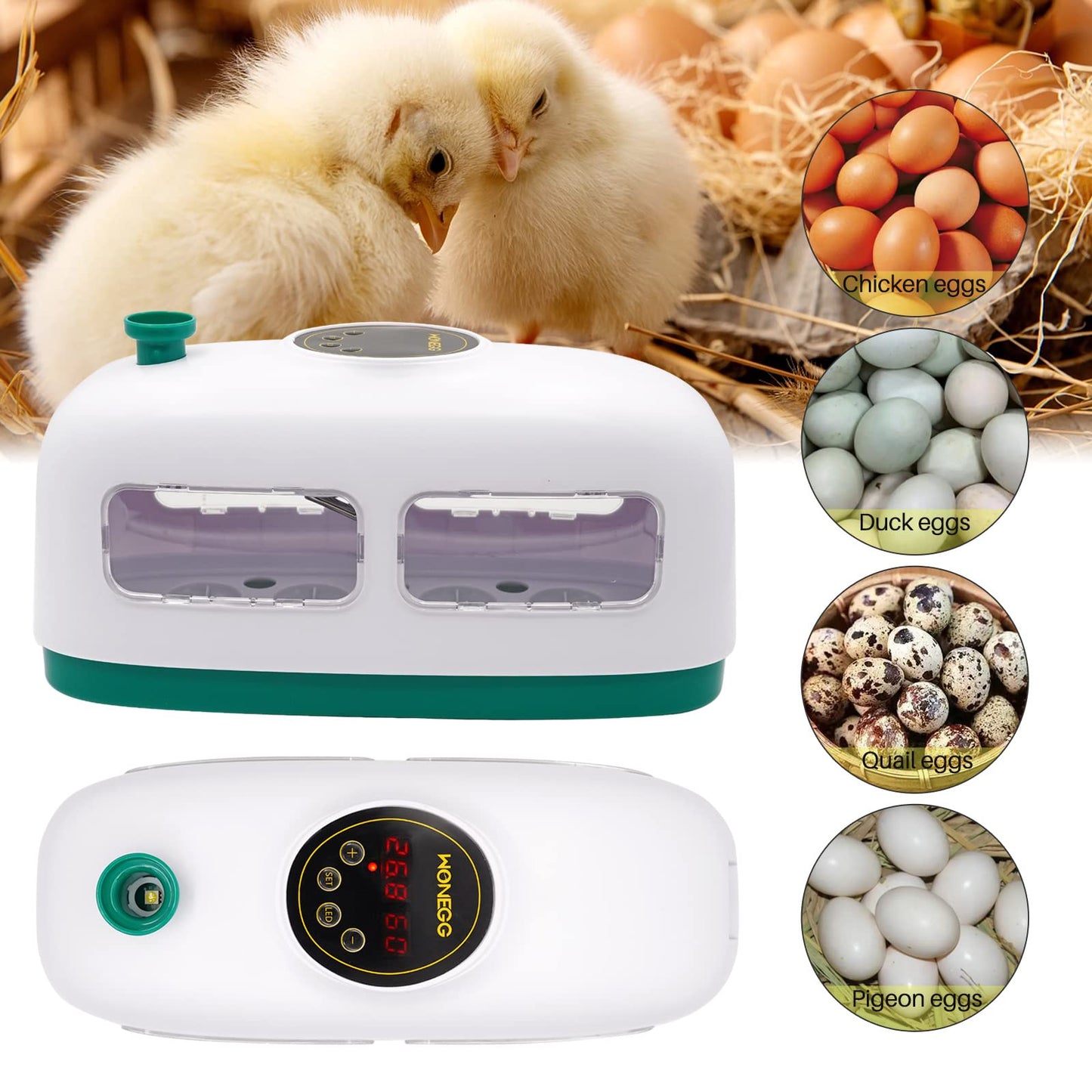 8 Eggs Incubator Chicken Hatcher Machine for Poultry Eggs, Small Train-shaped Egg Incubator with LED Light, Digital Temperature Control Hatching Machine for Hatching Birds, Quails, and Pigeons (White)