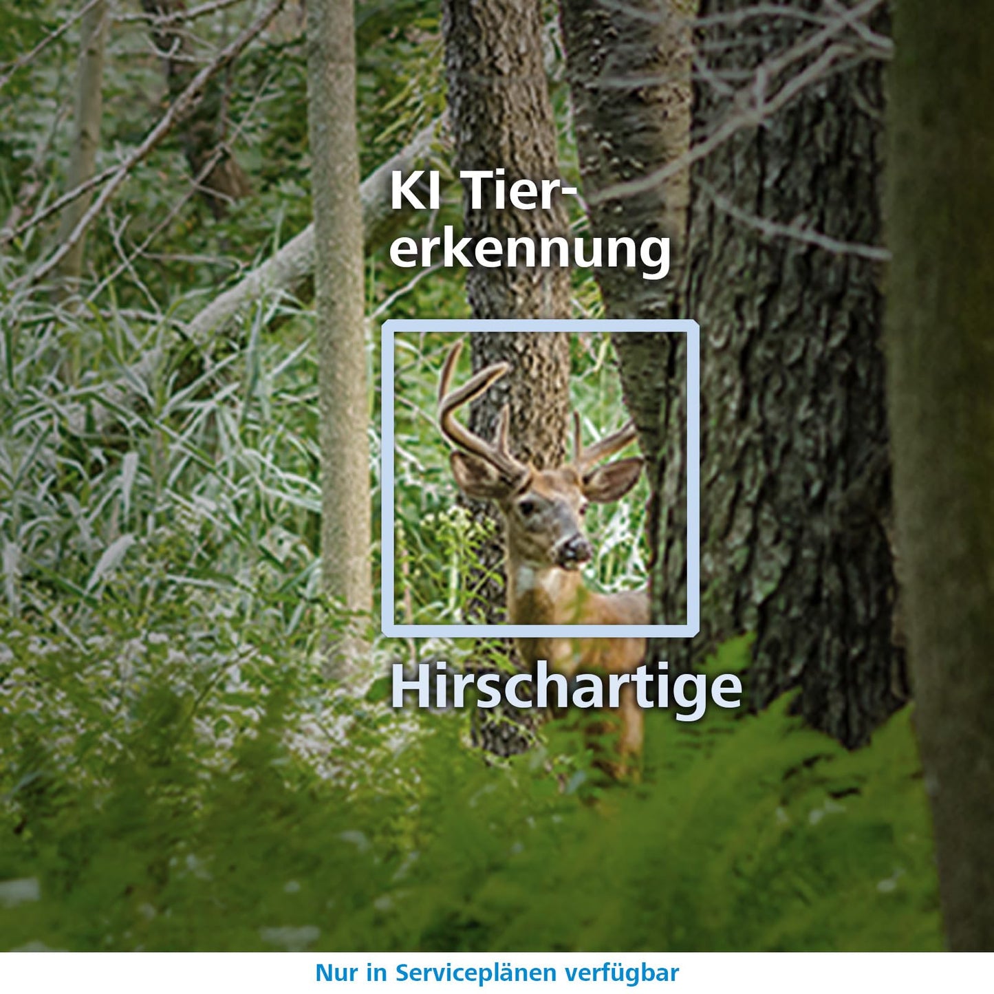 Zeiss Secacam 3-4er Pack - 4G Premium Trail Camera with Mobile Transfer App, SIM card, 32GB internal memory, 940nm LEDs, APP control, motion sensor Night Vision
