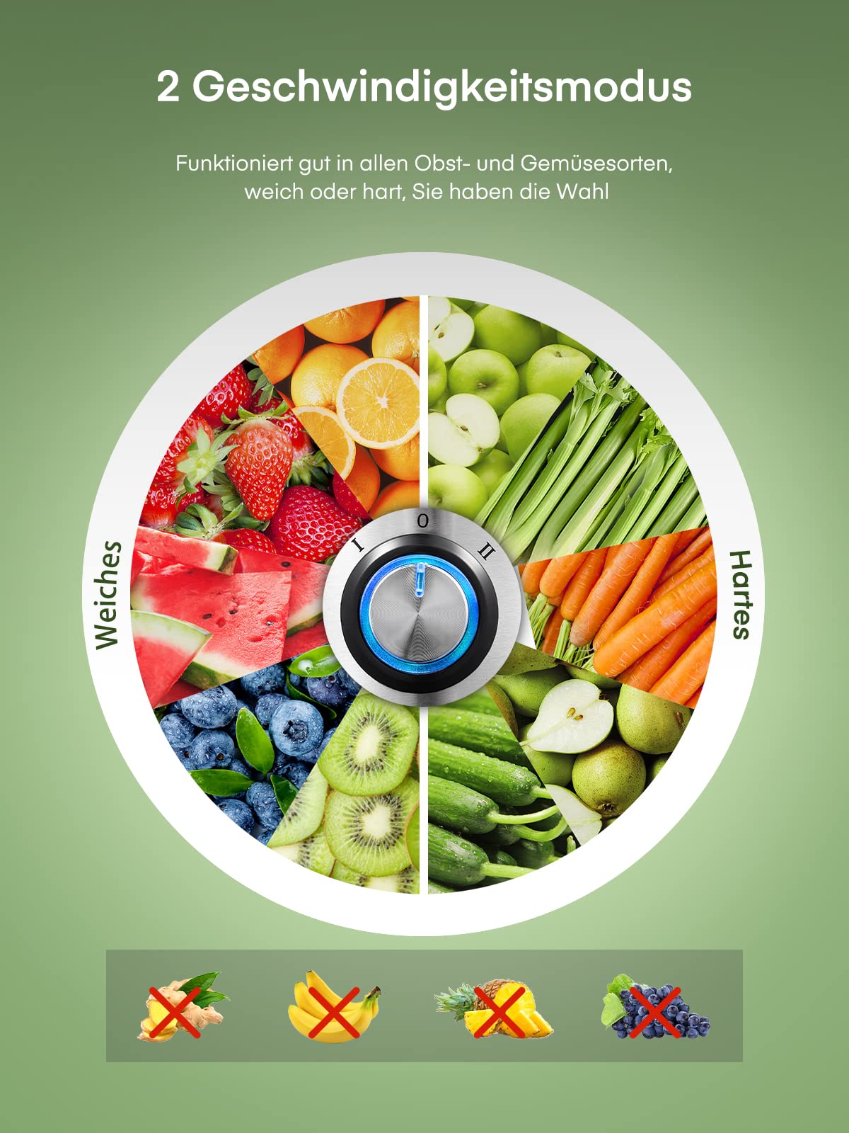 Juicest Juicer for Vegetables and Fruits, 800W Juicer with 75MM Feeding Chute, Easy to Clean, Stainless Steel 2 Speed Juicer with Brush & Recipe