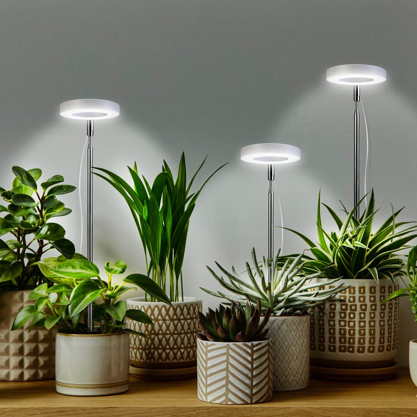 Cieex 2 Pack Plant Lamp Led Full Spectrum, Plant Lamp for Indoor Plants, Plant Light, Plant Lamp with Auto Timer, USB Adapter 4 Brightness Adjustable Height