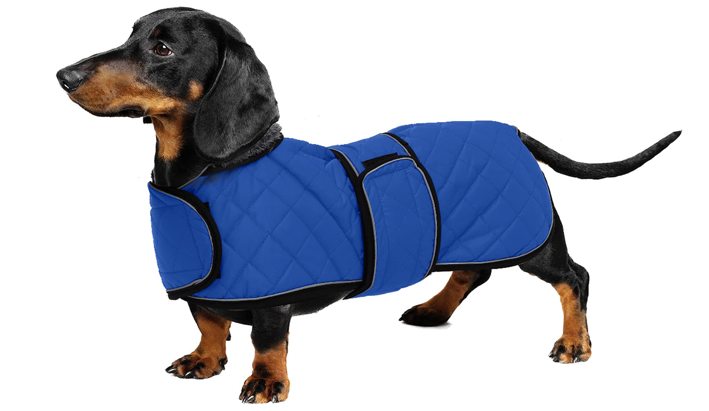Geyecete - Warm winter coat for Dachshund dogs, dog winter jackets with plush lining, outdoor jackets with adjustable belt and harness hole, for medium and small Dachshunds - Blue - XL