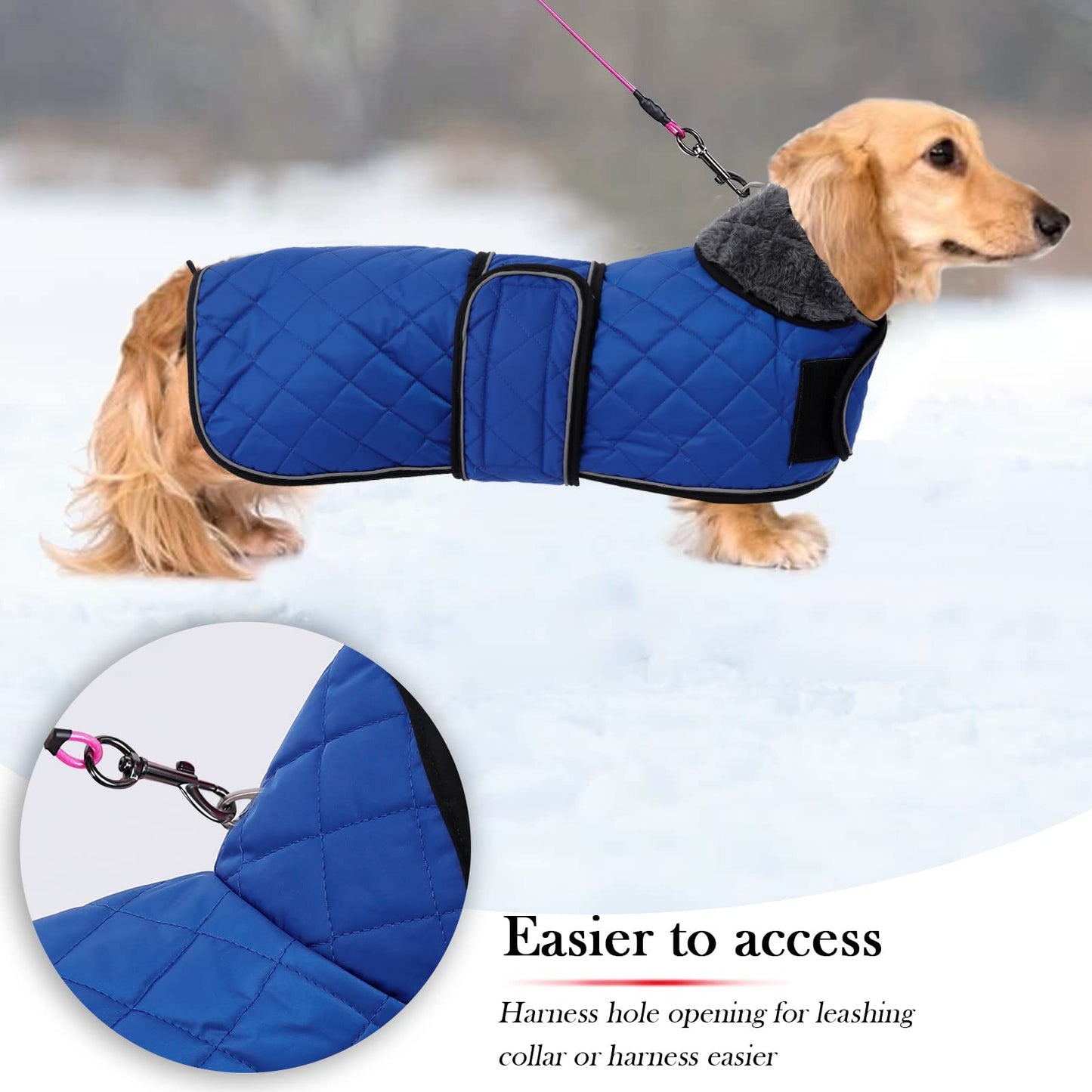 Geyecete - Warm winter coat for Dachshund dogs, dog winter jackets with plush lining, outdoor jackets with adjustable belt and harness hole, for medium and small Dachshunds - Blue - XL