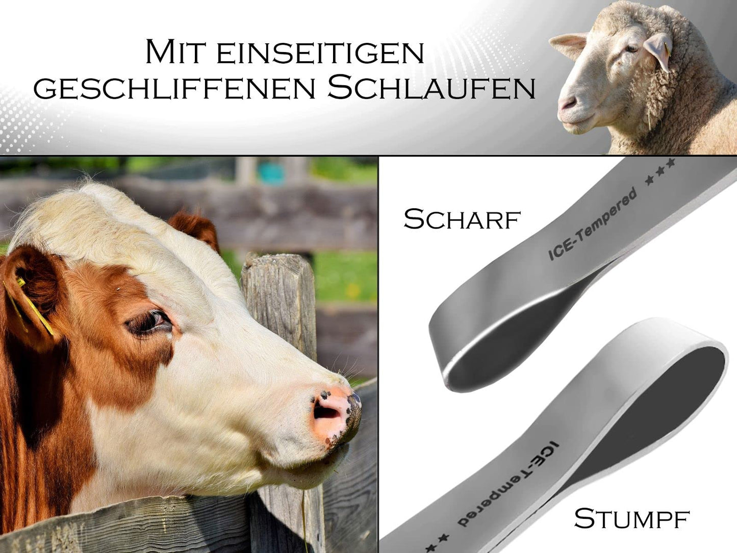 Professional 2-piece set loop hoof knife for horses. Loop knife with sharp blade. Hoof knife claw knife. Cattle hoof care farrier tool. Special steel rust-free with ergonomic handle.