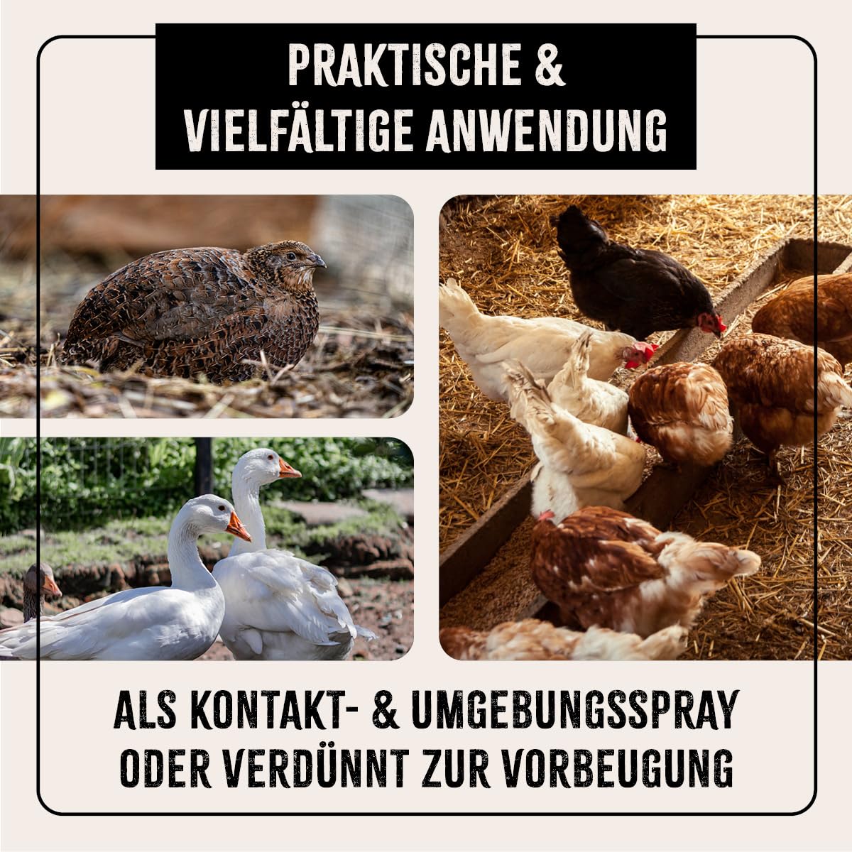 AniForte Mite Stop Liquid for Chickens & Poultry 5 Liters - against mites & parasites, for acute infestation & preventive measure, effective defense, ideal for refilling AniForte Mite Stop Spray.