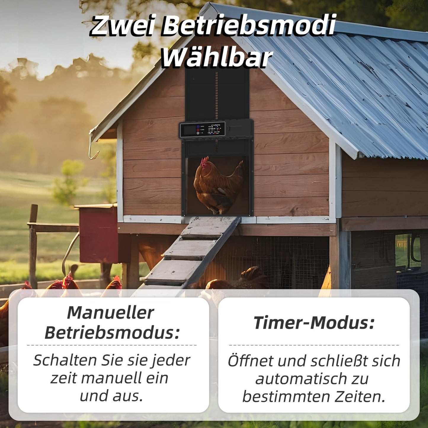 KACNON Aluminum Automatic Chicken Door - Electric chicken door with waterproof large display, timer, pinch protection function - Automatic for chickens, ducks, geese, rabbits, scratch resistant.