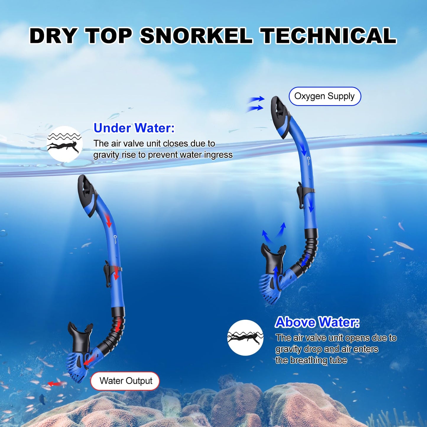 Adult Dorlle snorkel set includes premium dry snorkel and tempered glass diving mask, 180° panoramic view, anti-fog, anti-leak features for snorkeling and swimming. Comes with a carrying bag.