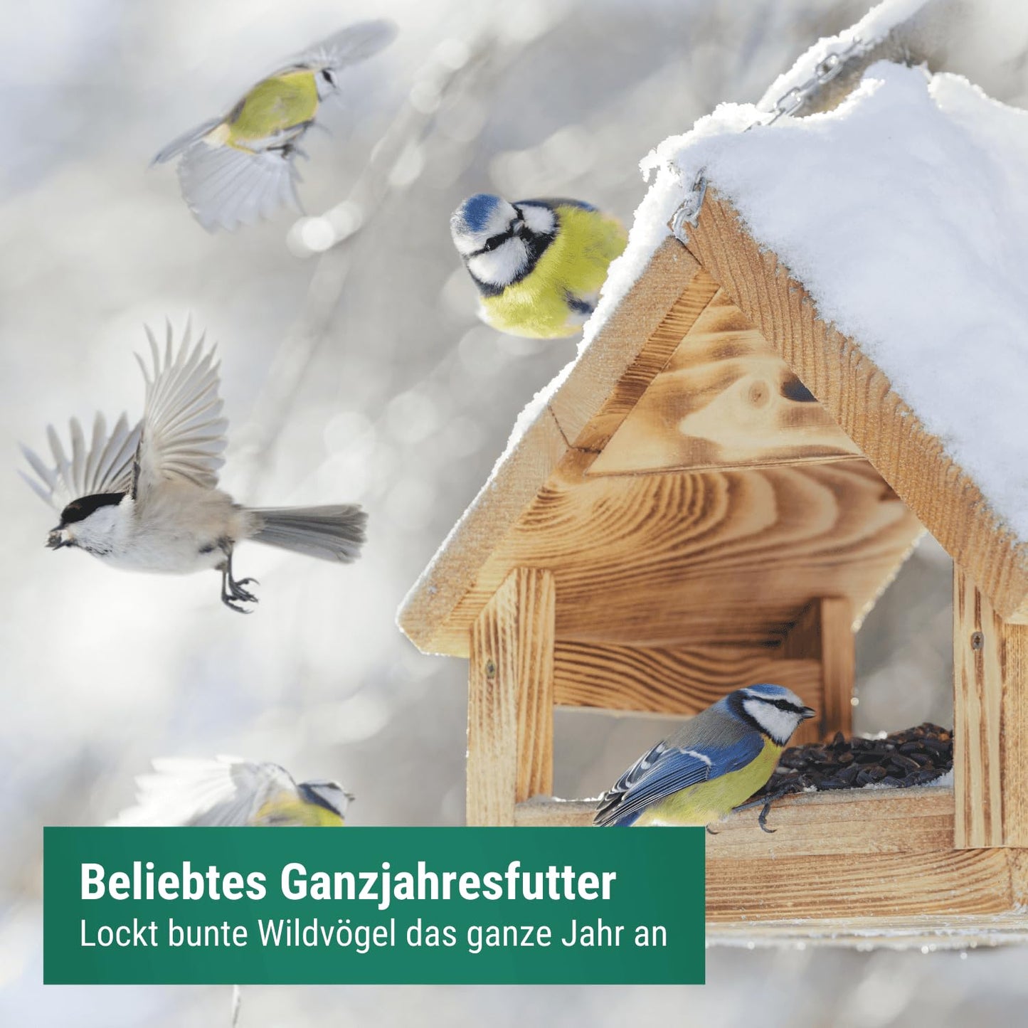 Agricultural area bird feed wild birds all year round 20kg - Wild bird feed 20kg with high-quality grain mix for all birds - Fat feed with sunflower seeds - Dust-free & without additives.