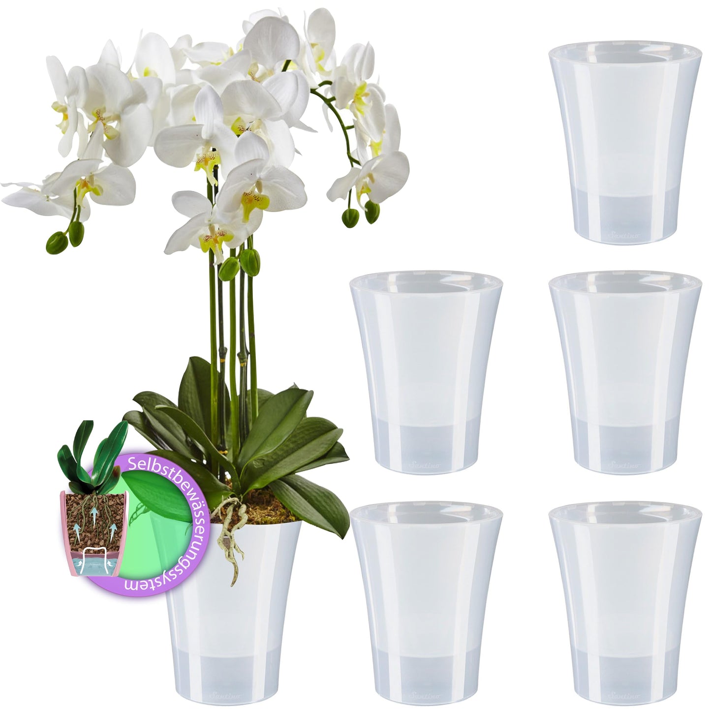 Santino 6-pack Orchid Pot Transparent with self-watering wick system - D 15 cm - Transparent - 2 L