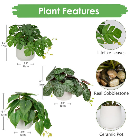 3-piece artificial hanging plant set in ceramic pots. Mini Monstera and Philodendron plants for modern decoration in home, office, bathroom, kitchen, and interior design.
