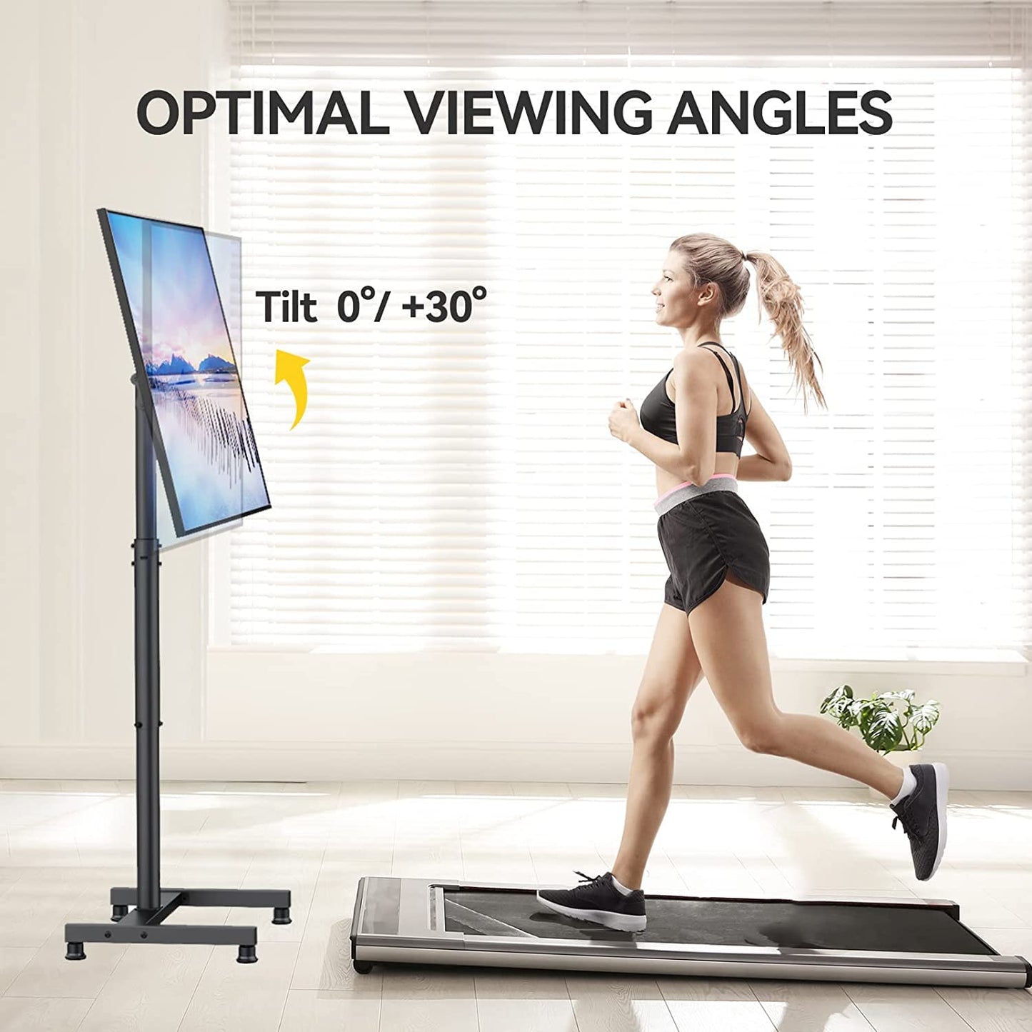AM alphamount TV Stand TV Floor Stand for 13-50 Inch Flat & Curved TVs up to 20 KG, Monitor TV Stand with Tilt, Adjustable TV Stand Foot Max. VESA 200 x 200 mm