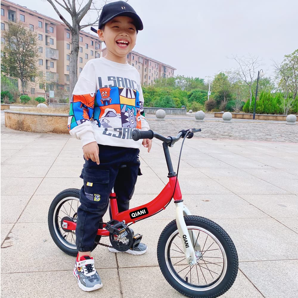 Qiani 2-in-1 balance bike for kids aged 2-7, with brakes, training wheels, pedals, air tires, and kickstand. Available in blue, 12-inch size.