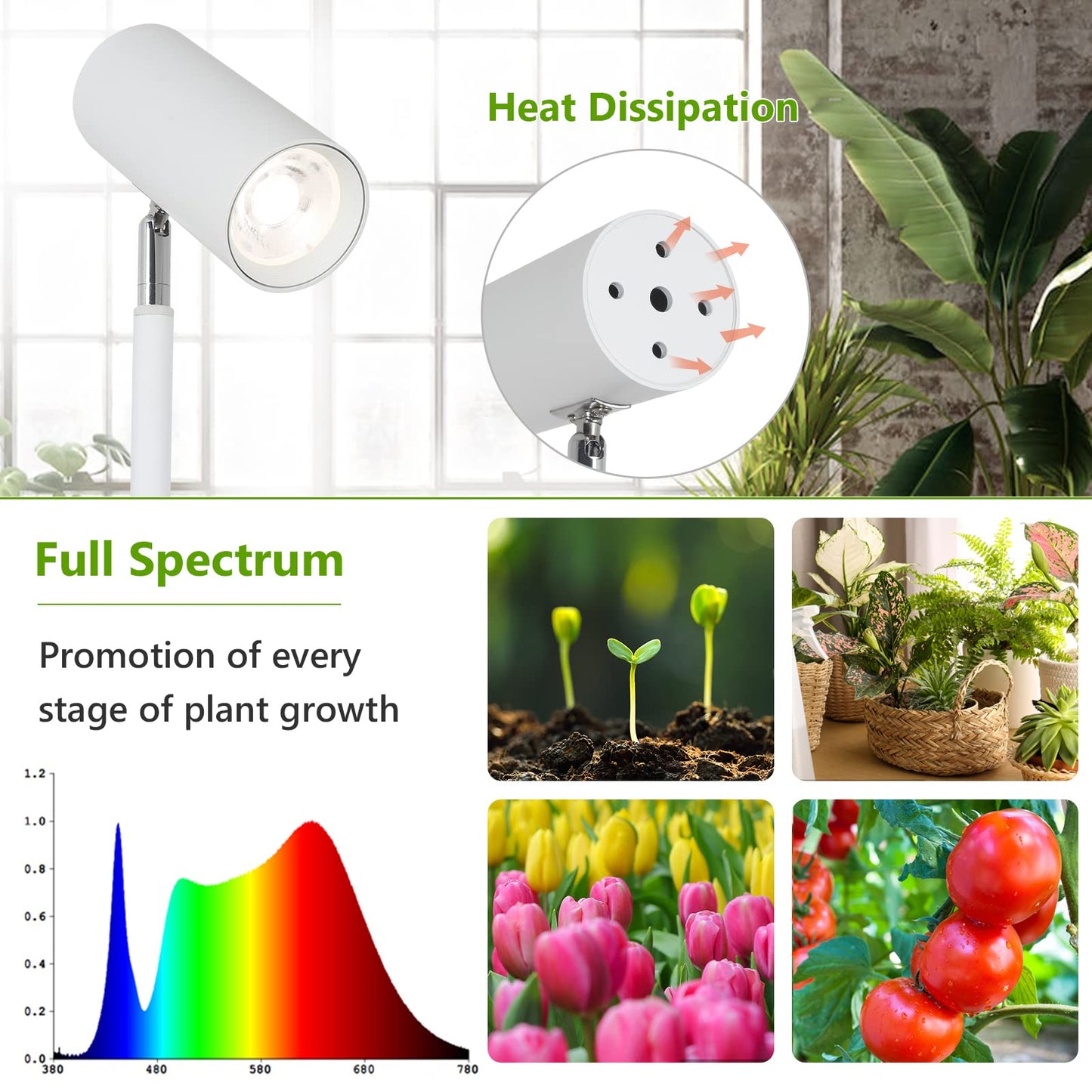 Rayofly LED Full Spectrum Plant Lamp, 20W White Grow Light for indoor plants, Adjustable height LED Grow Lamp with Timer 4/8/12H, Stand Grow Light for large plants or seeds.