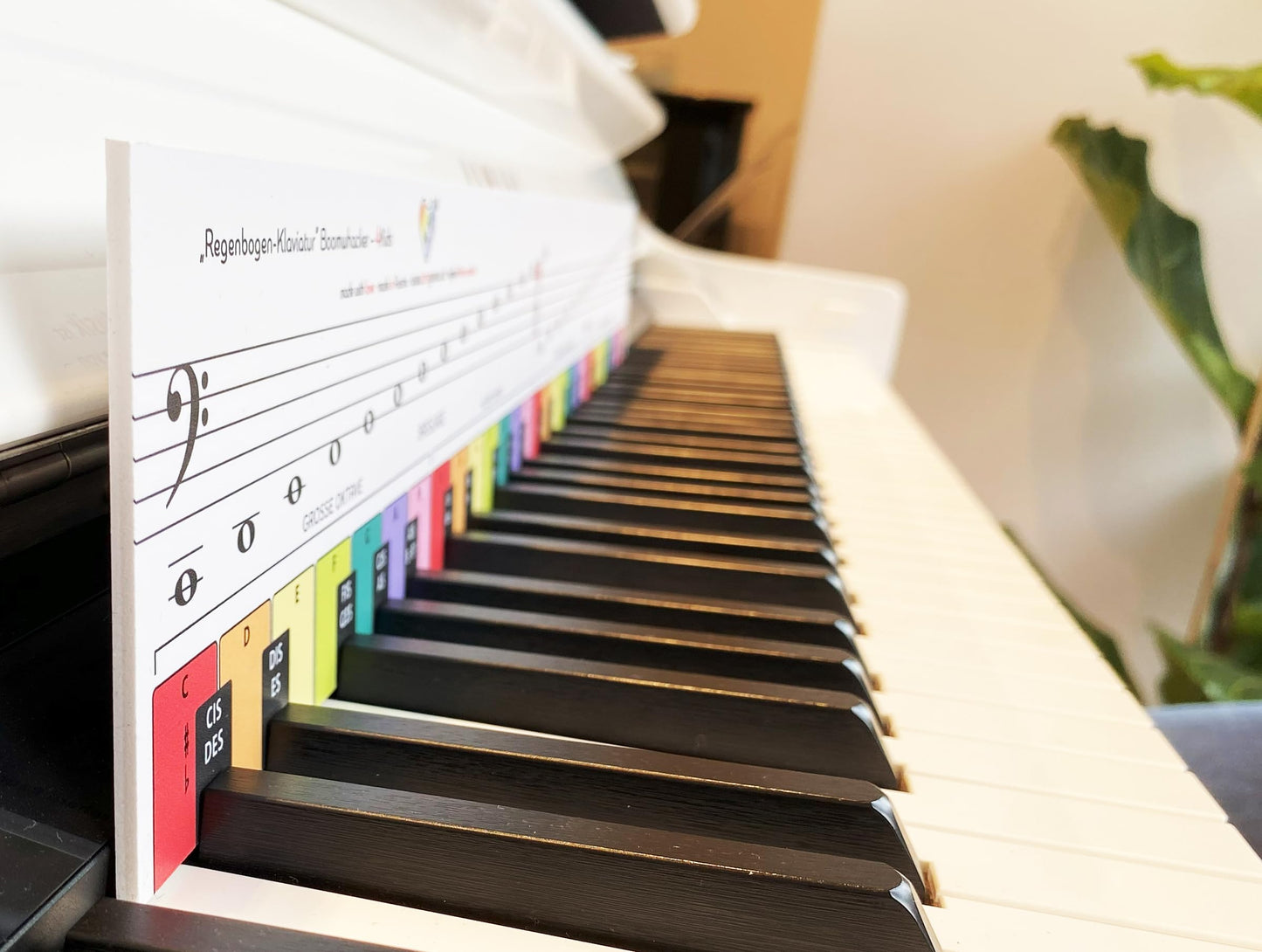 TonGenau® Rainbow Keyboard for Kids - Making piano learning easy - Recommended by piano teachers - Learn to play piano for kids, beginners, and adults.