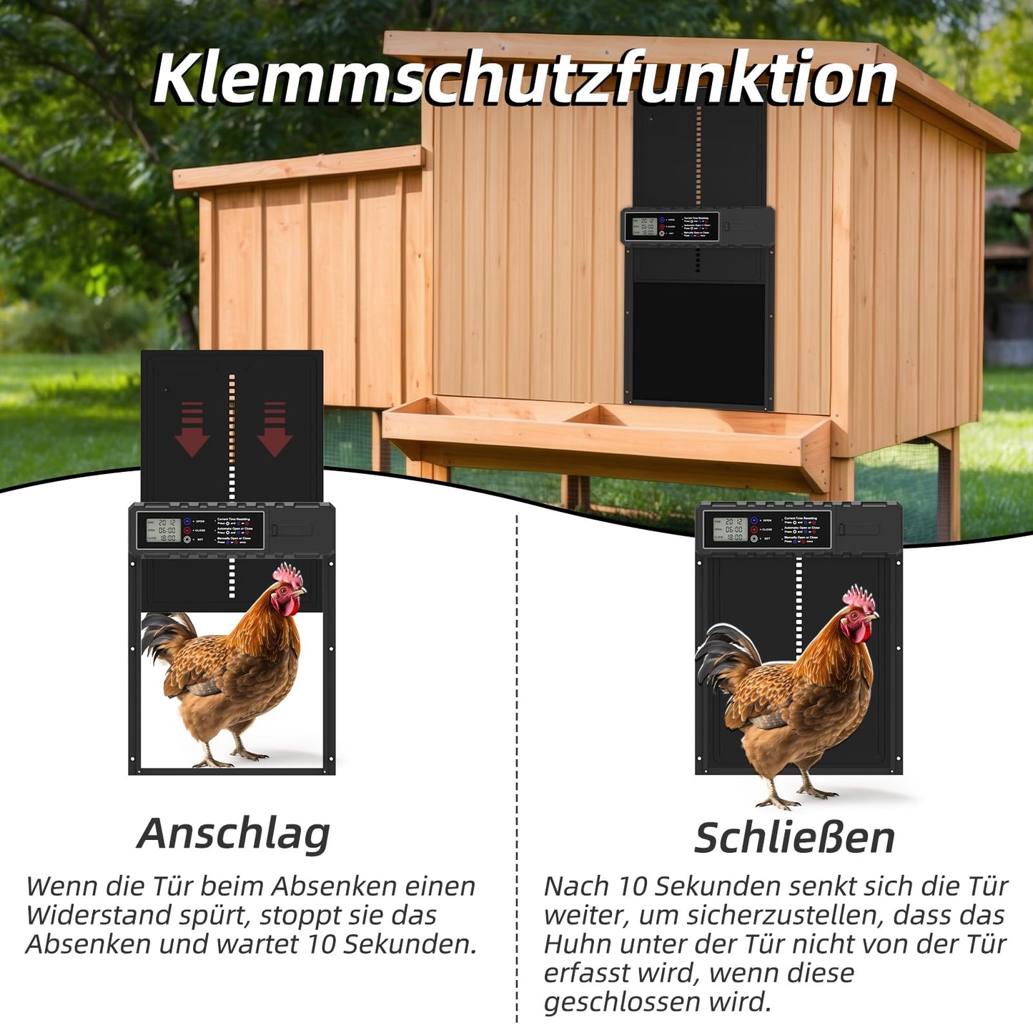 KACNON Aluminum Automatic Chicken Door - Electric chicken door with waterproof large display, timer, pinch protection function - Automatic for chickens, ducks, geese, rabbits, scratch resistant.