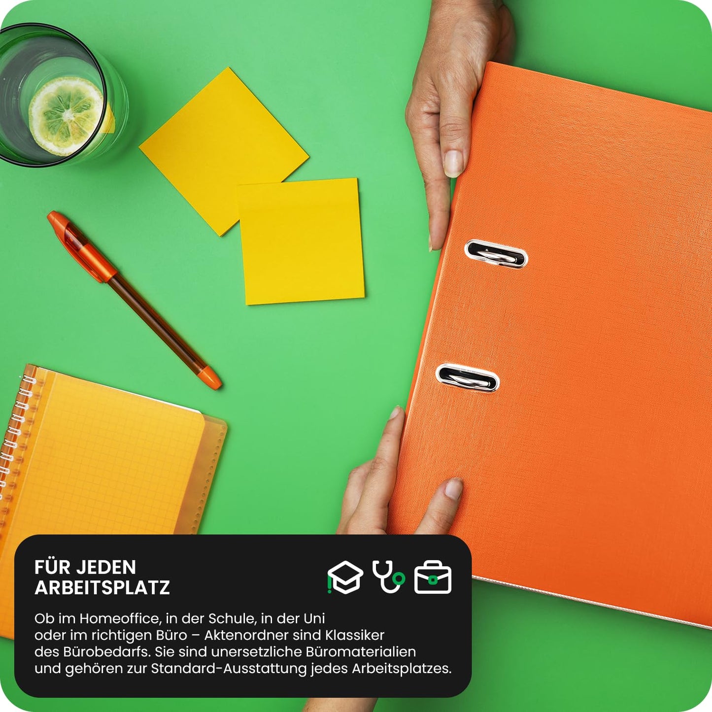 Netuno 20x File Folders DIN A4 White Ekobox 2-Ring Mechanism 8cm Plastic Office Binder Ring Binder PP Colored Wide