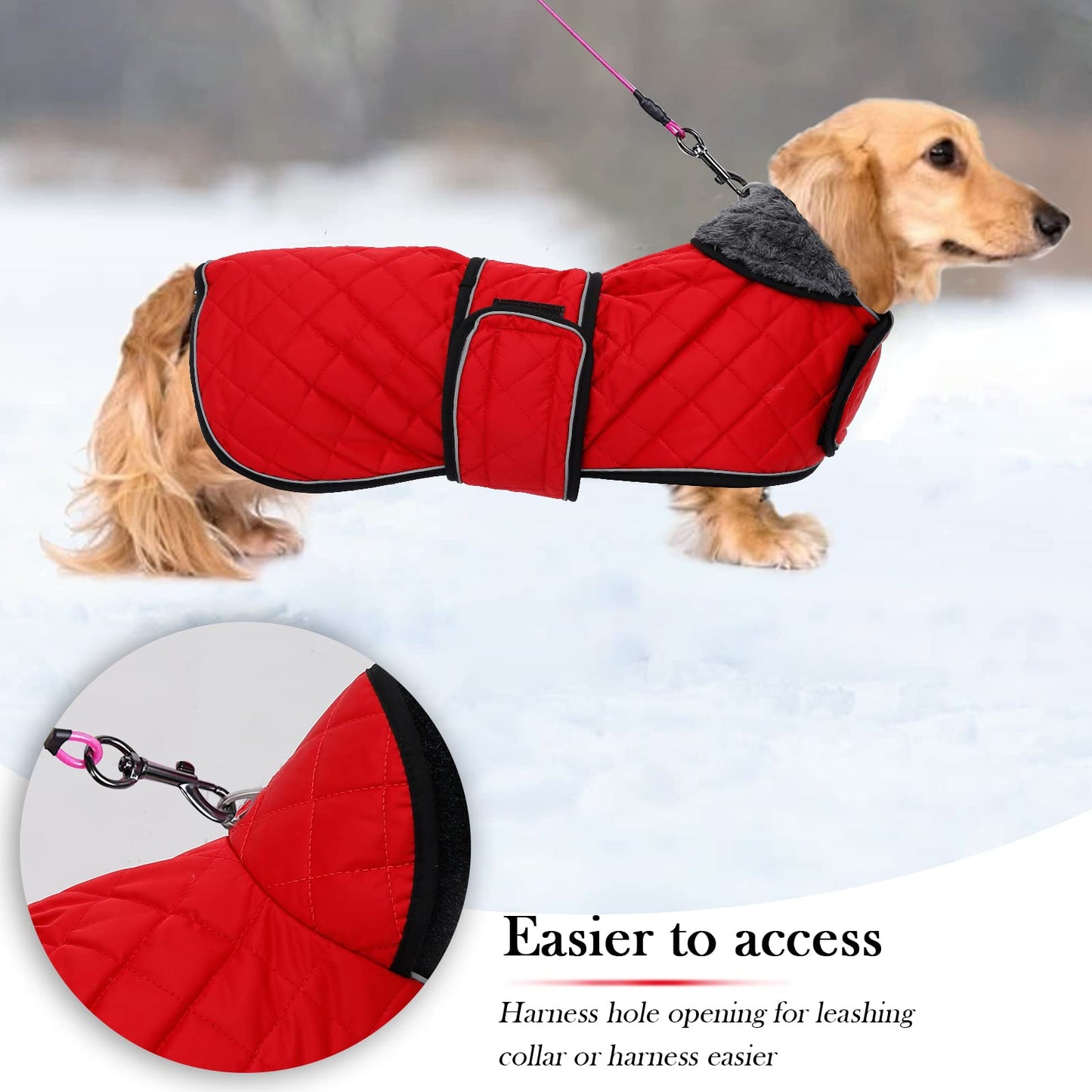 Geyecete - Warm winter coat for dachshund dogs, dog winter jackets with plush lining, outdoor jackets with adjustable belt and harness hole, for medium and small dachshunds-Red-M