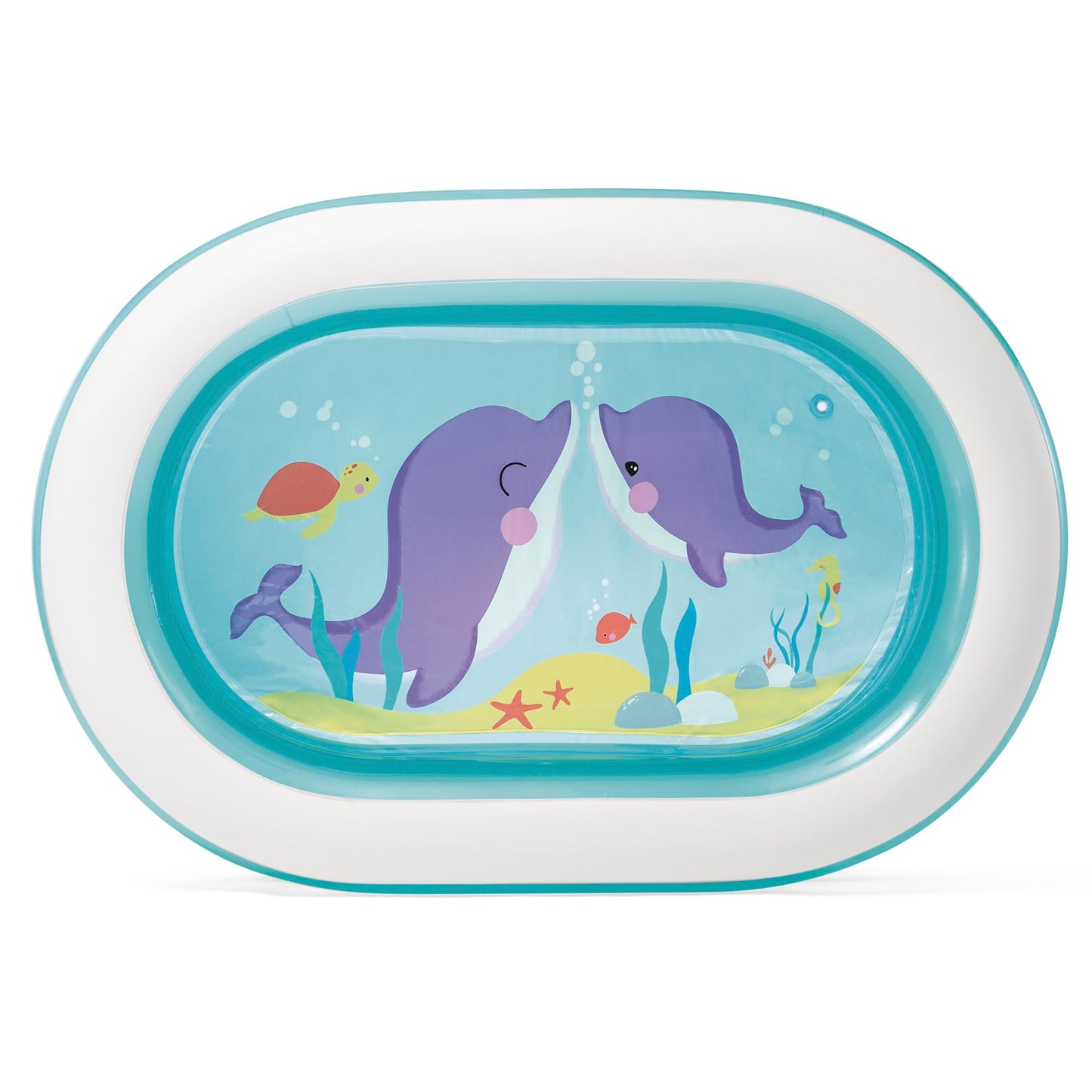 Intex 57482NP - Oval Whale Pool (Assorted Model), Blue, 163 cm l x 107 cm w x 46 cm h