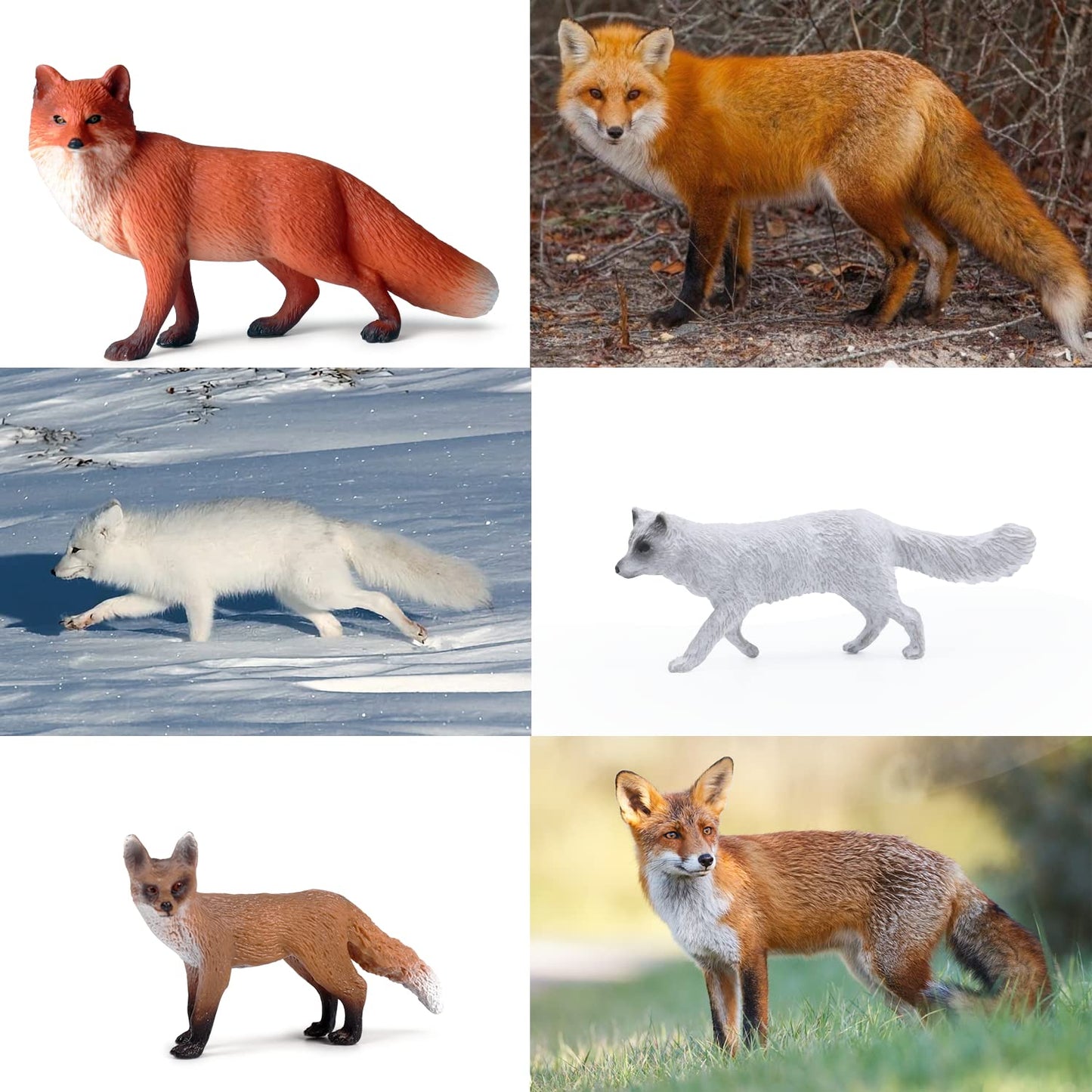 SIENON 8 Pieces Fox Toy Figures Arctic Fox and Red Fox Figures Set Fox Family Forest Animals Figures Forest Animal Figures Miniature Fox Animals Toys Cake Toppers for Forest Birthday Party